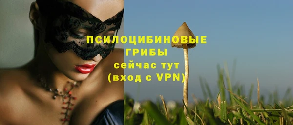 прущие крисы Ветлуга